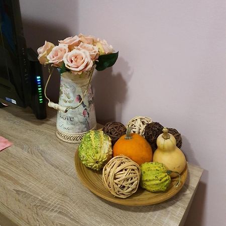 Studio Apartman Ld U Strogom Centru نوفي ساد المظهر الخارجي الصورة