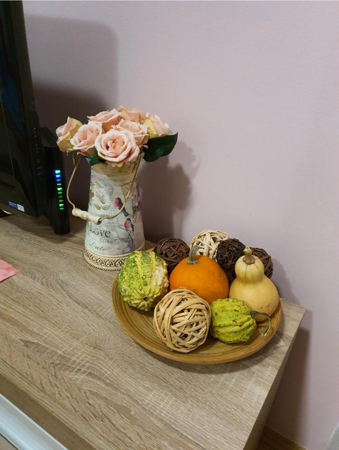 Studio Apartman Ld U Strogom Centru نوفي ساد المظهر الخارجي الصورة