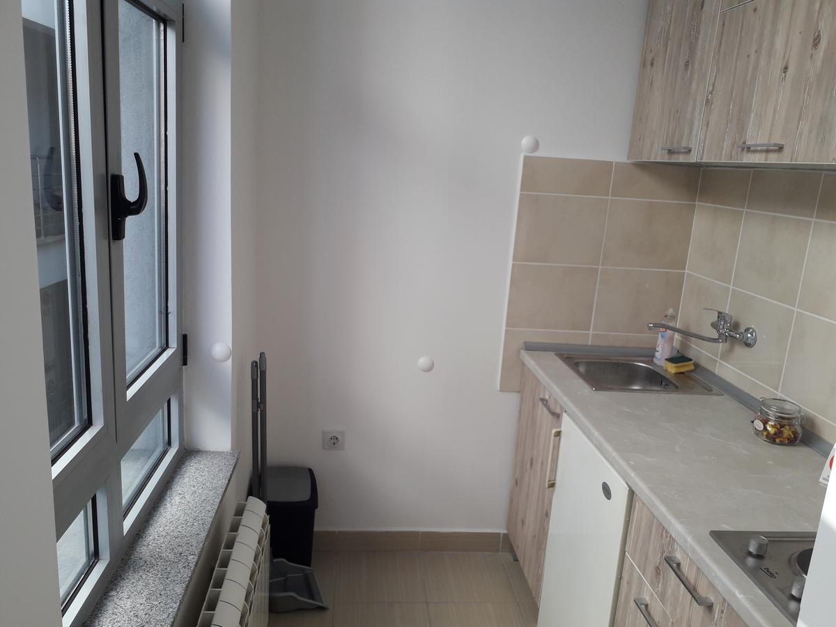Studio Apartman Ld U Strogom Centru نوفي ساد المظهر الخارجي الصورة