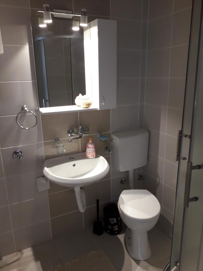 Studio Apartman Ld U Strogom Centru نوفي ساد المظهر الخارجي الصورة